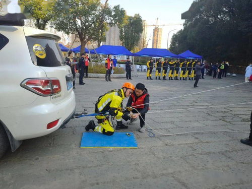 滨江区森林火灾扑救演练与竞赛圆满落幕，三联公益救援服务中心协办助力